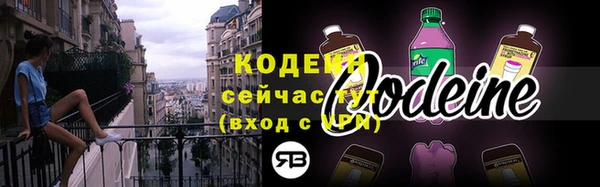 стаф Бородино