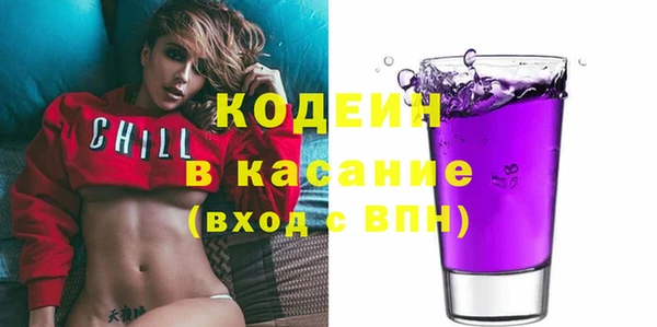 стаф Бородино
