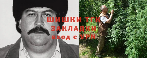 стаф Бородино