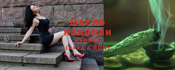 стаф Бородино