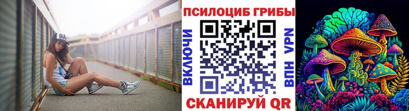 Псилоцибиновые грибы Psilocybine cubensis  Купить где  Пыть-Ях 